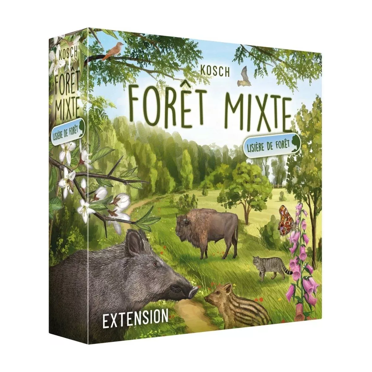 Foret Mixte Lisiere De Foret - plus de cartes pour le Foret Mixte